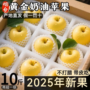 山东黄金奶油富士苹果应季新鲜水果鲜果多汁山东烟台包邮大果脆甜