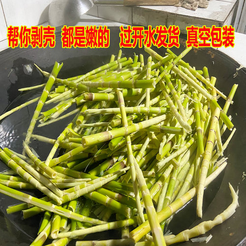 贵州特产新鲜小竹笋野生小笋子