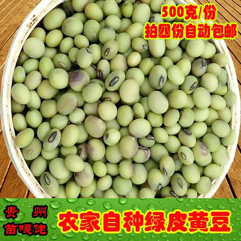 贵州绿皮黄豆老品种大豆豆种新货