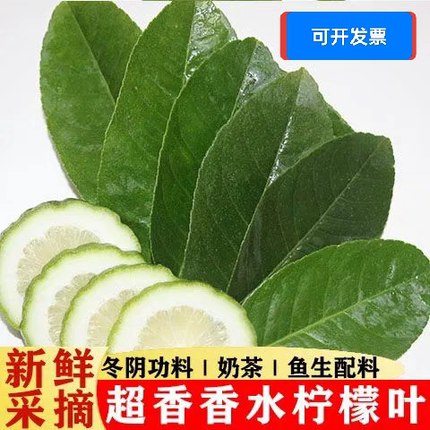 香水柠檬叶新鲜正宗冬阴功汤鱼生香料料理腌烹饪调料西餐原料包邮
