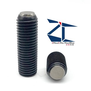 钢珠支承螺杆 FSUB锁紧螺丝防反转型锯齿型动向钢珠定位螺钉