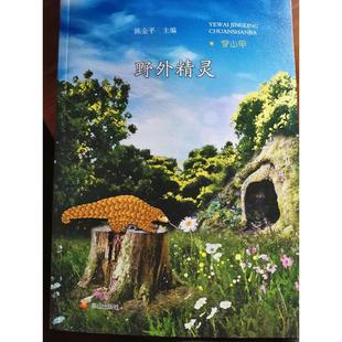 野外精灵：穿山甲陈金平9787806349663泰山出版 包邮 社 图书 正版