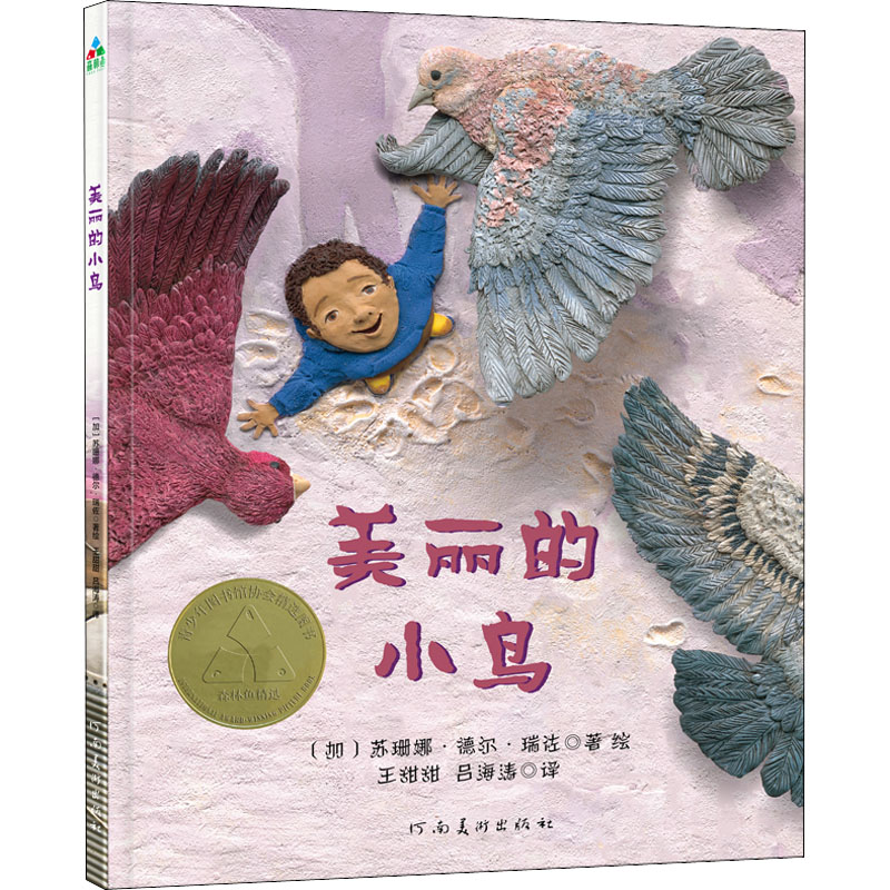 正版圖書包郵 森林魚(yú)精選繪本：美麗的小鳥(niǎo)（精裝繪本）(加)蘇珊娜·德?tīng)枴と鹱?787540156404河南美術(shù)出版社