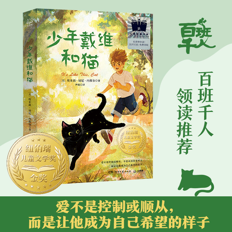 正版图书包邮少年戴维和猫(美)埃米莉·切尼·内维尔9787572614897湖南文艺出版社