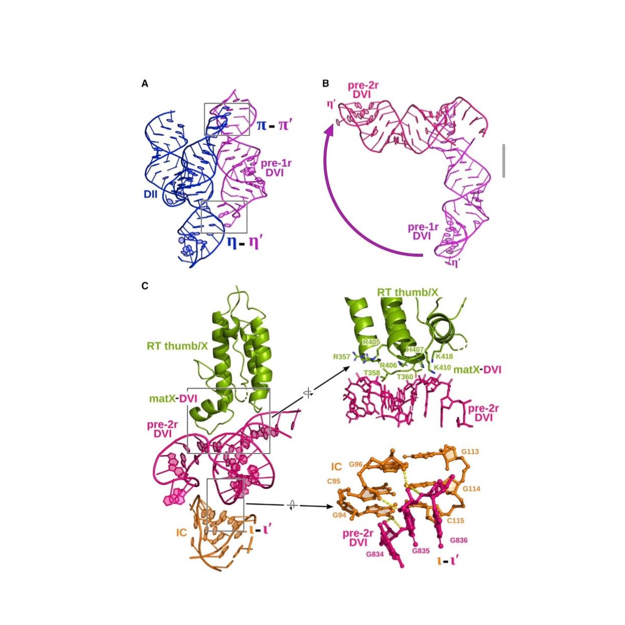 分子对接,结构预测,蛋白改造,动力学模拟,计算机辅助设计CADD