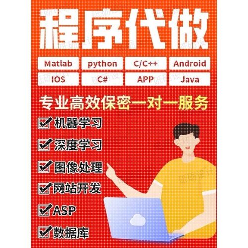计算机Java代码编写c++代做matlab程序Python编程php设计qt开发c#