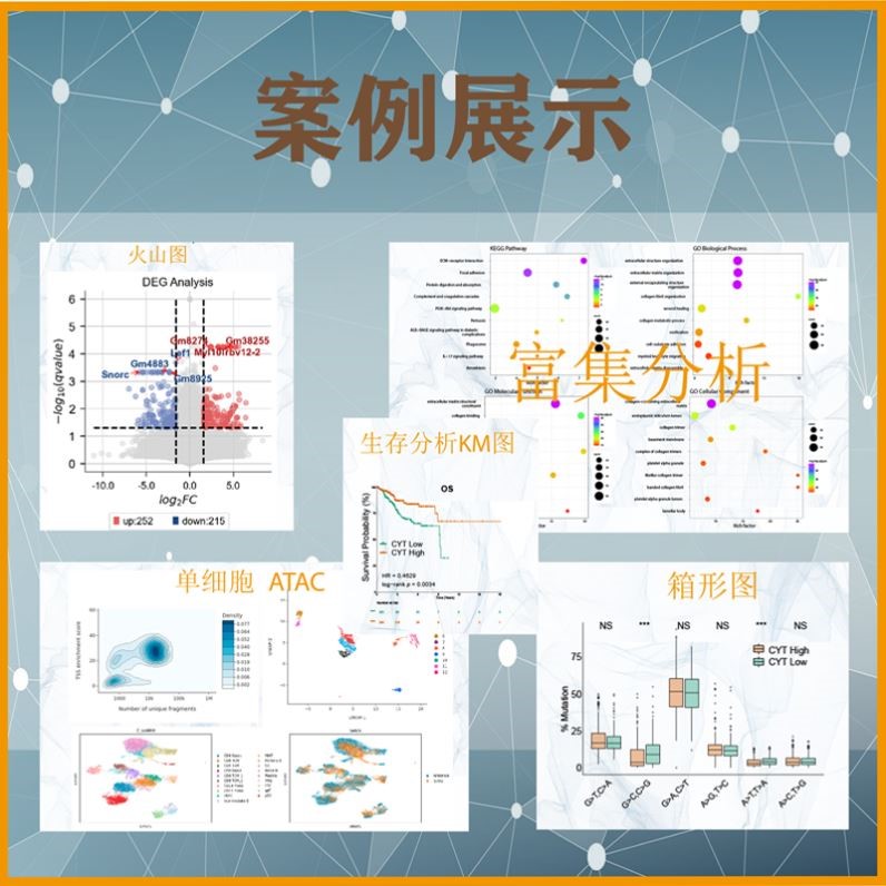生信分析Seurat单细胞转录组测序空间转录组分析数据挖掘scRNA