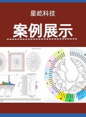 生信作图scif科研生物信息分析做图绘图制图火山气泡聚类热单组图