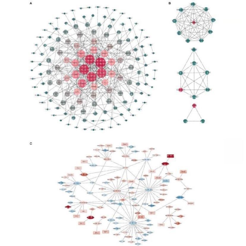 中医网络药理学 中药复方 分子对接代做 TCMSP GO/KEGG cytoscape
