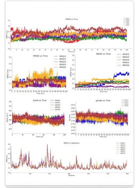 分子动力学模拟100ns