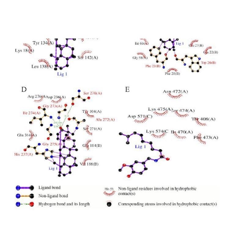 分子对接专业代做/做图分析/同源建模/SCI/PyMOL3D图/Ligplus2D图