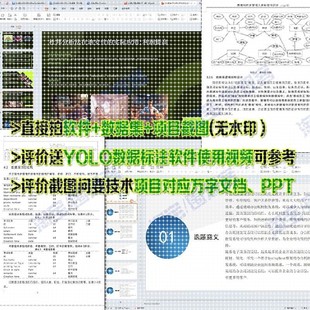 葡萄串图像检测分割数据集模型yolo机器深度学习python自动识别
