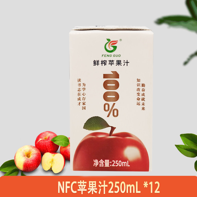甘肃静宁红富士苹果汁无添加 儿童营养早餐鲜榨苹果汁250ML*12/箱