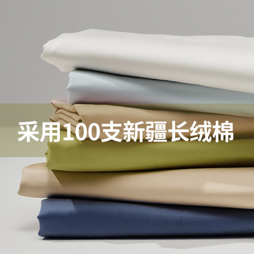 高支高密酒店100支贡缎长绒棉床单单件纯棉全棉被单单人裸睡床笠