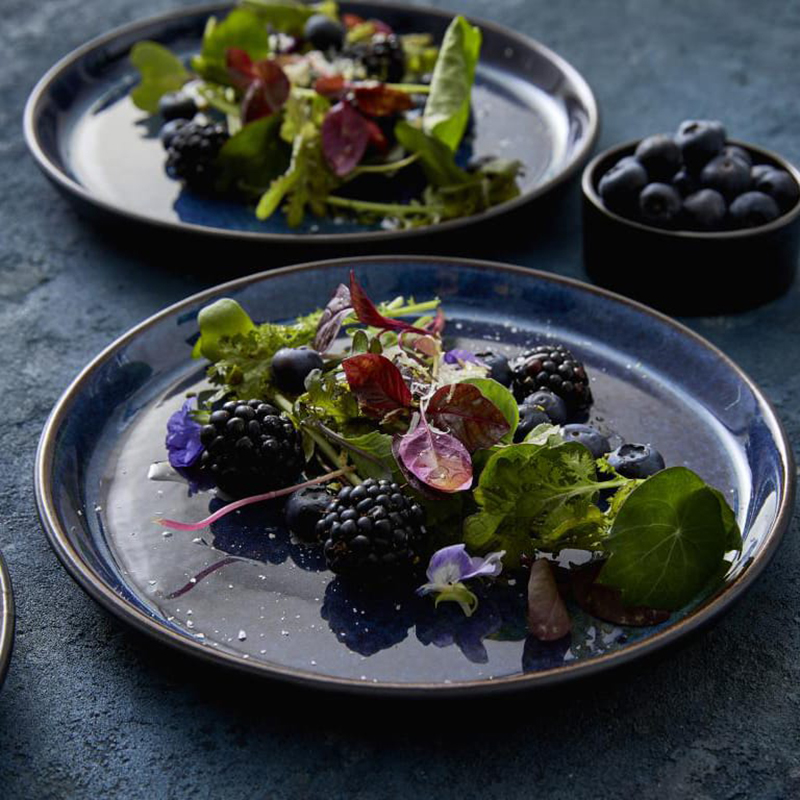 丹麦 Bitz 北欧极简Gastro系列亮釉多色西餐碟子餐盘子陶瓷大平盘