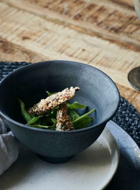 瑞典代购 House Doctor 北欧复古黑色做旧陶瓷餐碗汤碗汤盘水壶勺