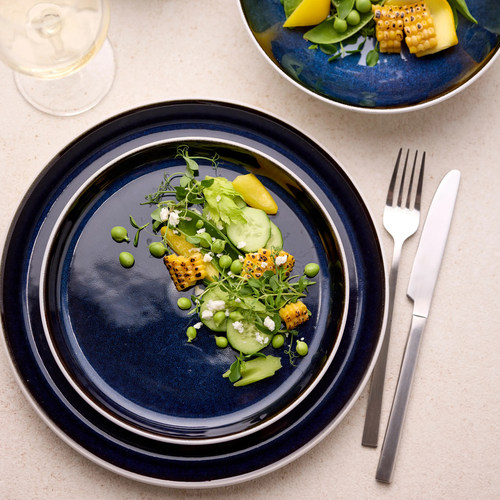 丹麦 Bitz 北欧蓝色白色双色西餐碟子餐盘子餐碗马克杯陶瓷餐具