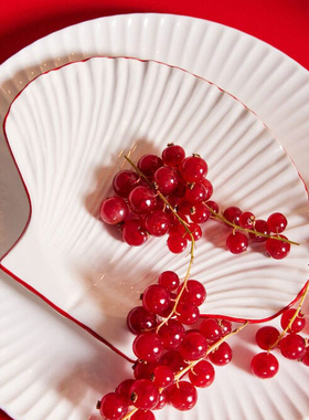 瑞典代购 Byon 红色描边贝壳形盘子白云石西餐甜品碟子珠宝收纳盘