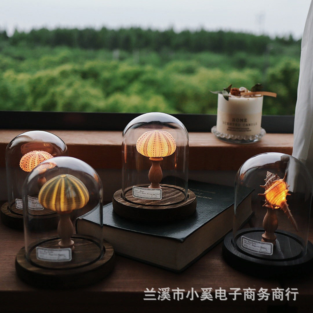 复古贝壳海胆海螺灯小夜灯摆件手节日装扮用品