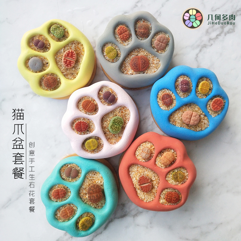 创意手工猫爪盆生石花套餐多肉植物番杏科屁屁花趣味彩套含盆含土