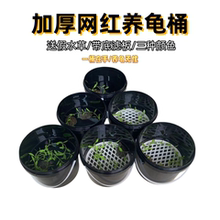 乌龟苗黑色奶茶桶专用发色盒隔离盒套盒龟缸鱼缸隔离板神器