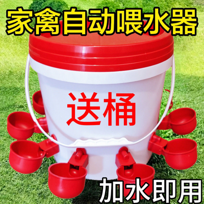 喂鸡自动饮水器德发养殖设备家禽