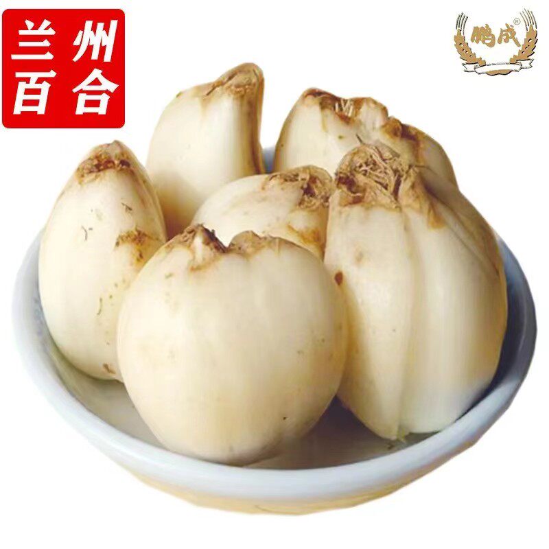 新鲜百合2斤 兰州甘肃特产新鲜脆甜厂家直发 包邮到家