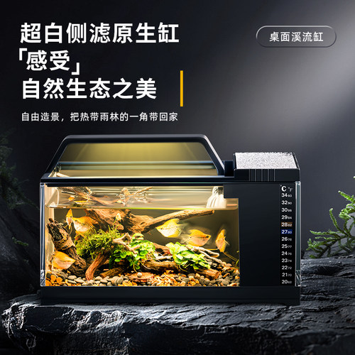 侧滤专业小鱼缸南美鱼缸