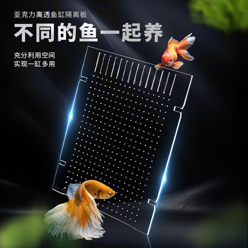 透明斗鱼缸隔离板亚克力板挡鱼板