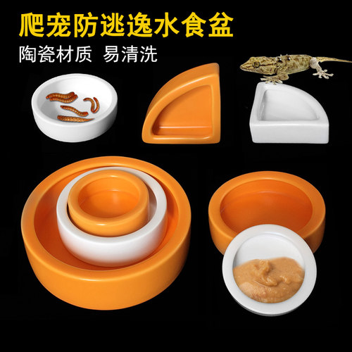 防逃逸爬虫食盆爬宠守宫陶瓷水盆