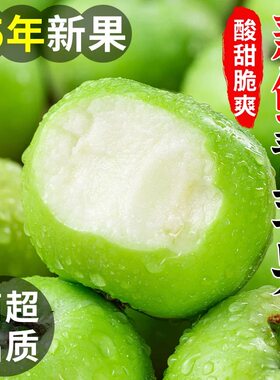 云南昭通2026年头茬新鲜当季脆甜青苹果青香蕉苹果现摘现发孕妇