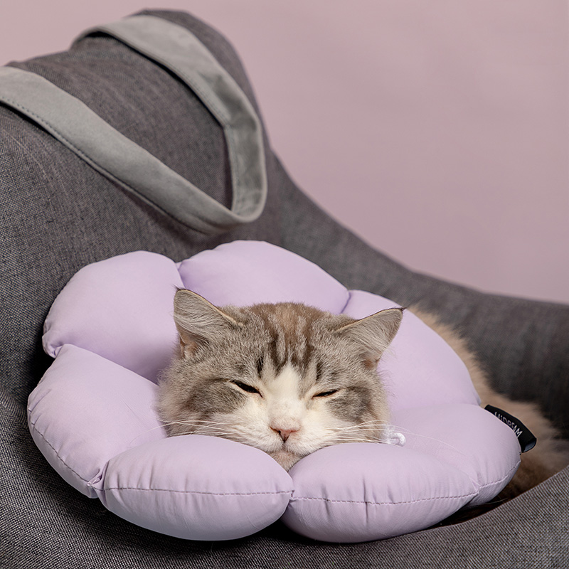 hidream伊丽莎白圈猫咪防舔软圈宠物幼猫狗狗绝育可调节超轻防水