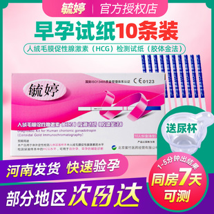 毓婷验孕试纸早早孕试纸10条测怀孕女精准检测纸测孕hcg检测条sy