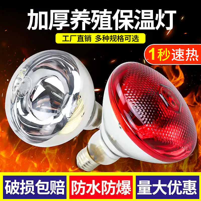 保温灯养殖场专用小鸡育雏仔猪用保暖灯取暖灯泡养殖兽用加热拷灯,畜牧/养殖物资,养殖保温灯,淘宝优惠券,粉丝福利购,淘宝优惠卷