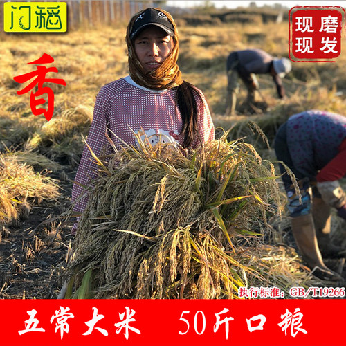 门稻大米姐19266农家自产寿司米