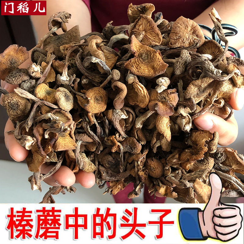 25年新长白山榛蘑东北特产野生蘑菇小鸡炖蘑菇无根榛蘑小朵500g