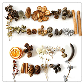 与子家 真干花干草干果猫咪环境丰容气味丰容猫狗嗅闻玩具