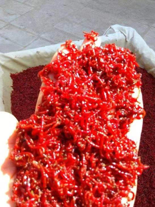 冰冻牛心汉堡虾干鹦鹉鱼食红线虫
