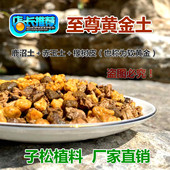 包邮 橡树皮＋赤玉土＋鹿沼土兰花专用营养土 黄金土 子松兰花植料