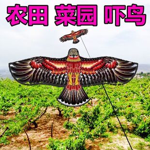 农田吓鸟老鹰风筝放撕裂防水抗风防撕裂仿真老鹰吓鸟神器