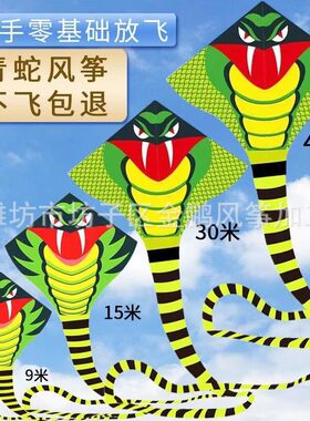 大蛇风筝新款青蛇王风筝成人大型三角风筝长尾蛇龙地摊眼镜蛇