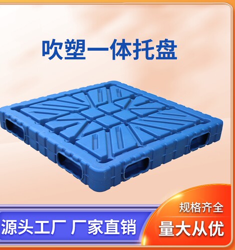 吹塑一体双面仓库拍子防潮板