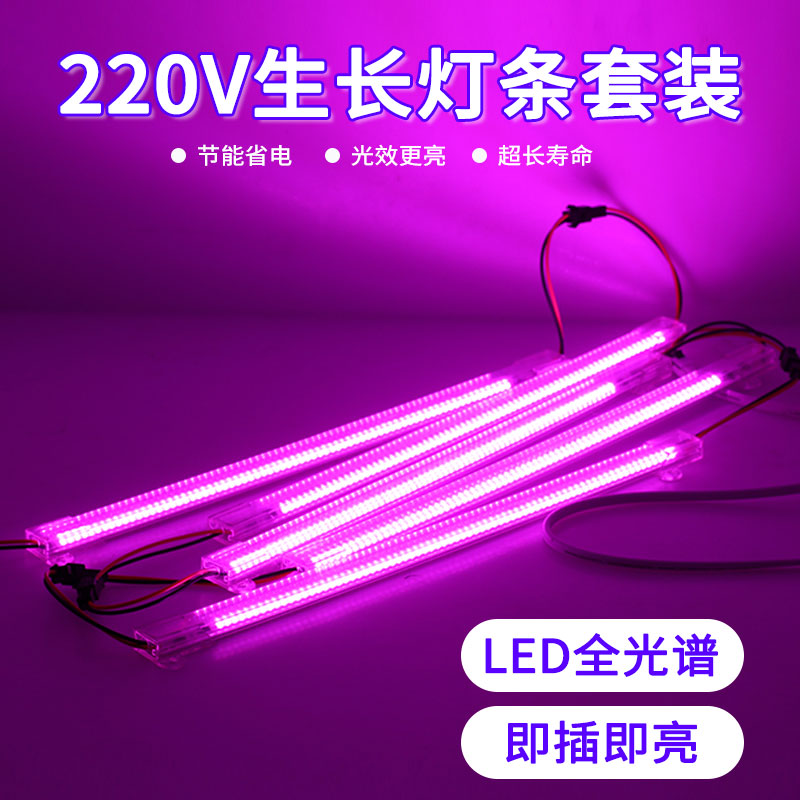 多肉补光灯上色助长全光谱太阳光