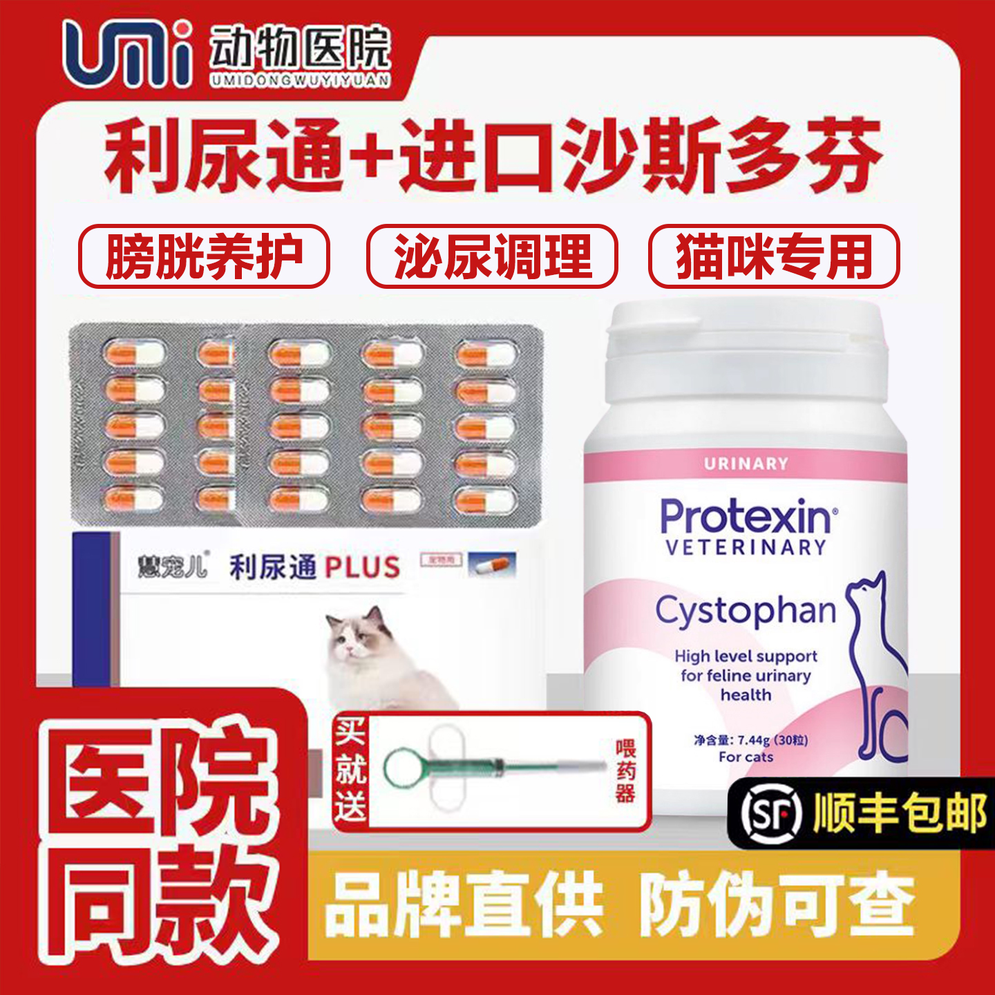 英国沙斯多芬猫咪泌尿应激宠物