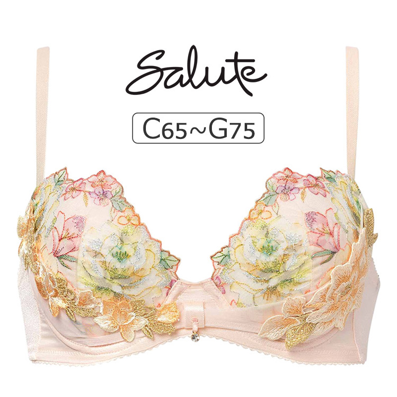 SALUTE刺绣贴花性感聚拢文胸