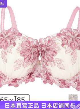 narue日本甜美蕾丝刺绣简约平整大胸杯文胸 圆杯80 85 GHI 18556