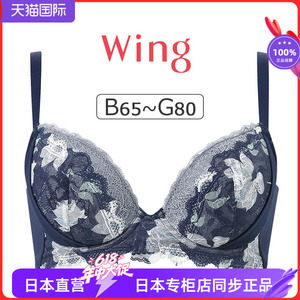 优雅蕾丝简约大气聚拢上托文胸