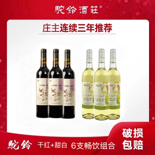 吐鲁番驼铃6支组合赤霞珠干红葡萄酒与无核白葡萄酒聚会畅饮组合