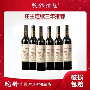 吐鲁番驼铃红酒酒庄2013赤霞珠干红葡萄酒果香浓郁