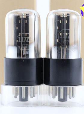 全新美国盒装117ZAGT带D环黑屏加强筋高座117za电子管